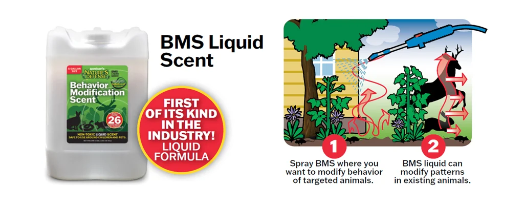 bms-scent-liquid