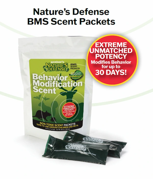 bms-scent-packets